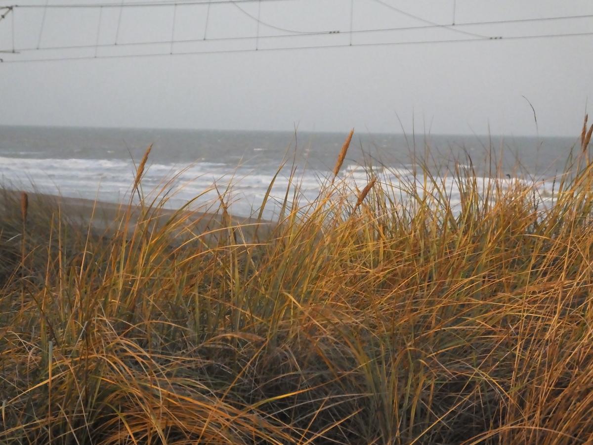 مبيت وإفطار Mariakerke  Sable D'O -Vlak Aan De Zee- المظهر الخارجي الصورة